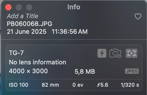 Screenshot showing the date of a photo inside Apple Photos, the date reads June 21st 2025.